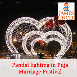 Pandal lighting in Puja Marriage Festival Mr. Somnath Taswan in Chandannagar